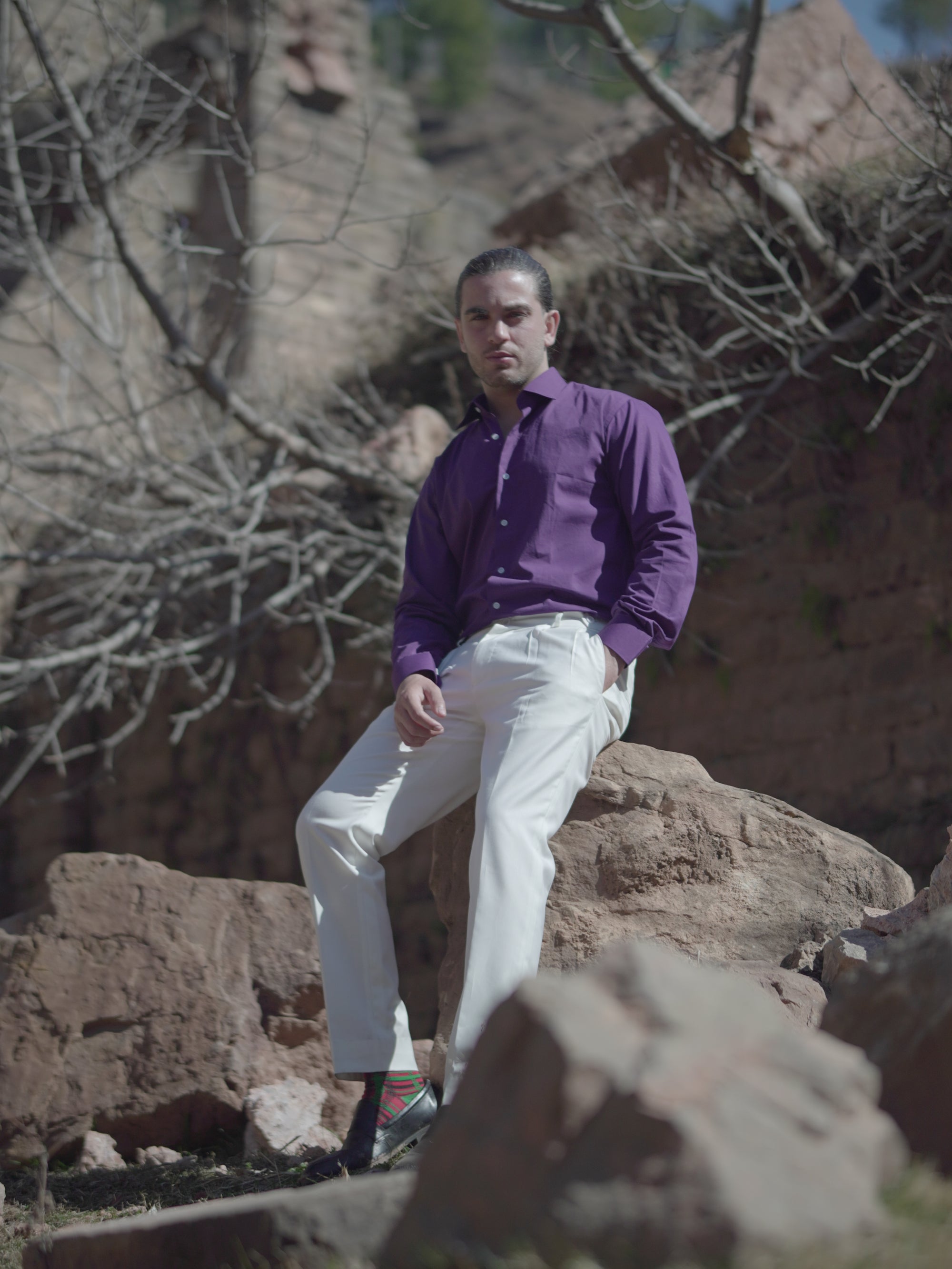Formal Purple Men Shirt